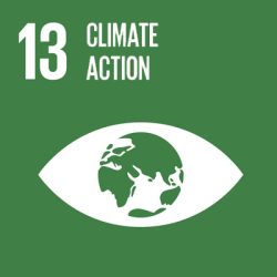 Sustainable Development Goals_icons-EMILIE