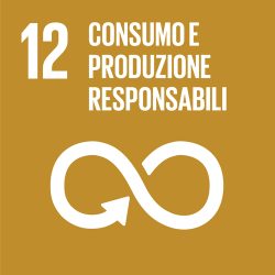 SDG-icon-IT--12