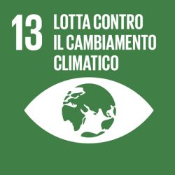 SDG-icon-IT--13